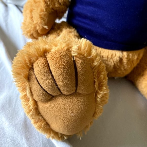 John Hancock Teddy Bear w/ Sweater 13" Plush Stuffed Toy New - Picture 7 of 9